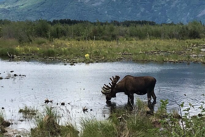 Knik Glacier Adventure 4x4 Overland Safari and Jet Boat Adventure - Operator Information and Booking