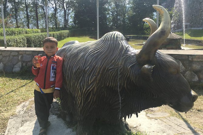 Knowledgeable Day Tour of Museums in Pokhara - Historical Treasures on Display