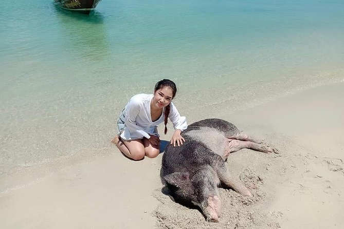 Koh Madsum and Koh Tan Snorkeling Trip By Speedboat From Koh Samui - Transportation and Departure Point