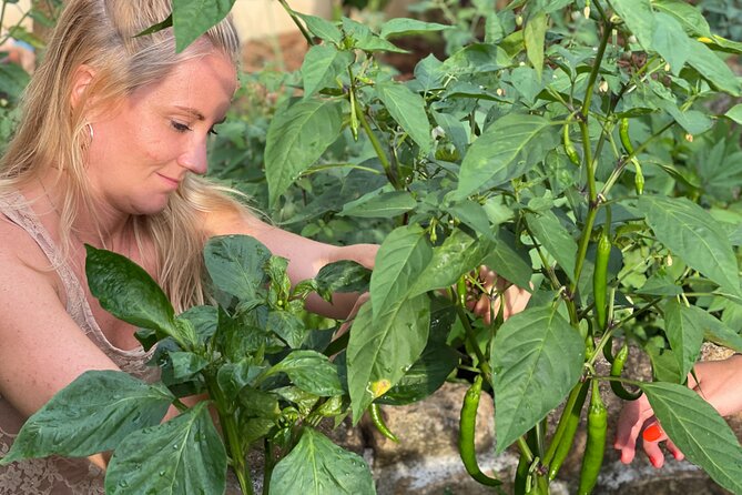 Koh Samui Jungle Kitchen - Half Day Cooking Class - End Point