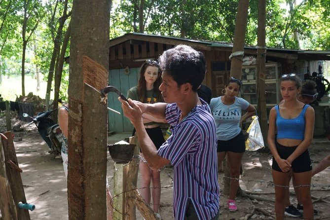 Koh Samui Jungle Safari Tour - Questions and Support