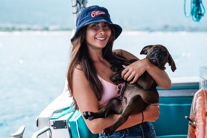 Kona: 3 Hour Dolphin Watch, Double Snorkel, & BBQ Lunch - Common Questions
