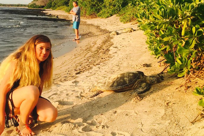Kona Shore Excursion: Hawaiian Sea Turtles , Historic Kona & Coffee - Directions