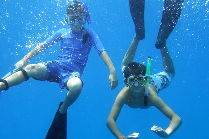 Kona Shore Excursion: Wild Dolphin - Reefs -Sea Caves - (Small Group) - Crew and Guides