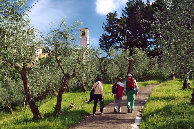 La Dolce Vita of the Renaissance - Half-Day Walking Tour - Price and Group Size Variations