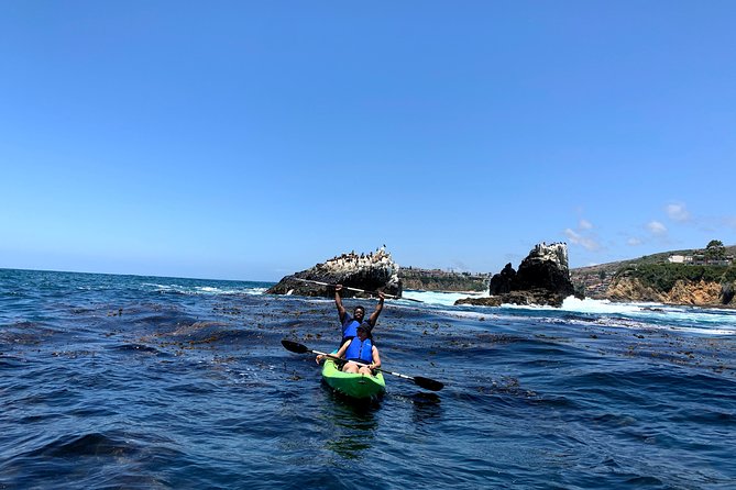 Laguna Beach Open Ocean Kayaking Tour With Sea Lion Sightings - Cancellation Policy and Refunds