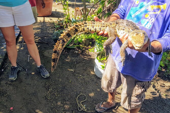 Laguna De Tres Palos Boat Ride and Crocodile Farm Experience  - Acapulco - Inclusions