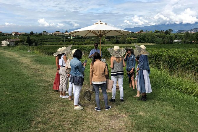 Lake Garda: Wine Tour & Tasting Experience in Bardolino Area - Check Availability