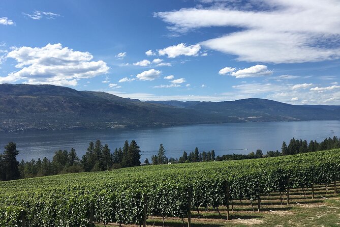 Lake Okanagan Private Cruise and Wine Tasting  - Kelowna & Okanagan Valley - Cancellation Policy