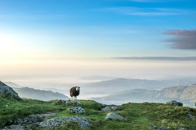 Lakeland Excursion - Full Day - Up to 4 People - Booking and Pricing Details