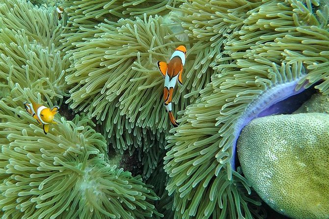Lanta 4 Islands Emerald Cave Snorkeling Tour - Cancellation and Customer Support