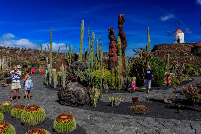 Lanzarote Tour: Lagomar Museum, Guatiza Cactus Garden & La Graciosa Island - La Graciosa Island