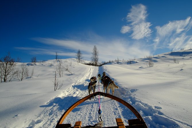 Lapland Husky Sled Safari From Tromso - Scenery and Location