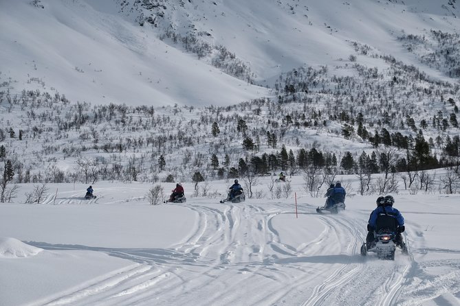 Lapland Lyngen Alps Snowmobile Safari From Tromso - Guides and Staff