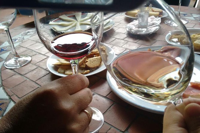 Las Palmas Shore Excursion: Private Volcanic Caldera, Teror Village and Wine-Tasting Tour - Reviews and Ratings