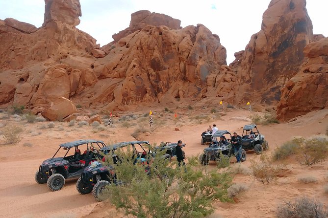 Las Vegas Valley of Fire ATV Quad 3 Hour Tour MOST Scenic! - Customer Reviews