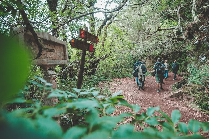 Levada Rabaçal and 25 Fountains Walking Tour - Final Thoughts and Future Adventures