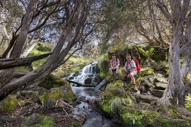 LGBTQ Friendly 9-Hour Great Ocean Road Private Tour - Scenic Stops and Photo Opportunities