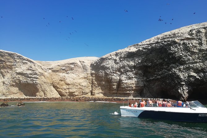 Lima: Ballestas Islands, Winery & Huacachina Oasis Private Tour - Meeting and Pickup Details