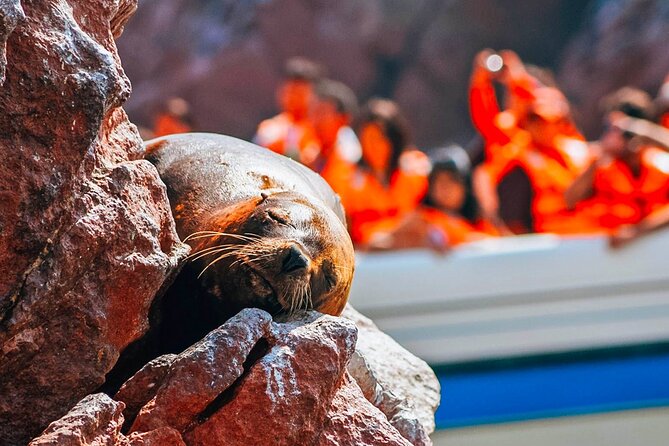 Lima Full Day Tour: Paracas and Huacachina Oasis - Minimum Age and Return Time
