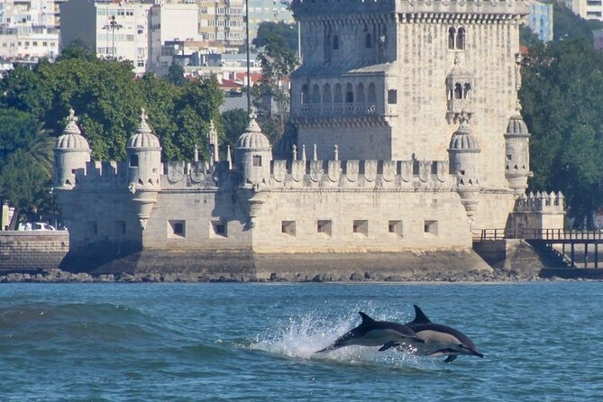 Lisbon Dolphins - Dolphin Watching in Lisbon - Questions and Assistance