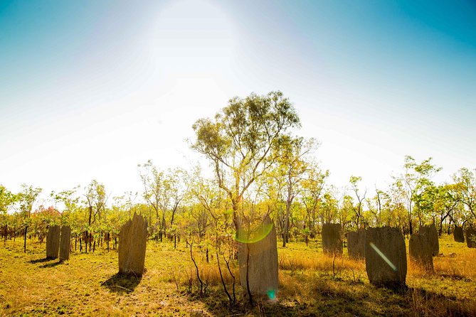 Litchfield National Park Waterfalls Day Trip From Darwin Including Termite Mounds and Lunch - Swimming Opportunities
