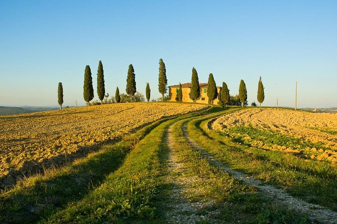 Livorno Shore Excursion: Chianti and Tuscany Countryside Private Wine Tour - Traveler Photos