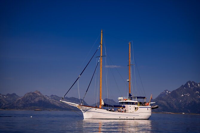 Lofoten Islands Luxury Trollfjord Cruise With Lunch From Svolvær - Sweeping Views of the Islands