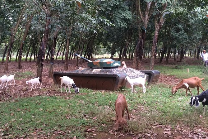 Long Tan Battlefield and Museum Of Worldwide Arms Tour  - Ho Chi Minh City - Additional Information