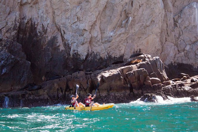 Los Cabos Arch and Playa Del Amor Tour by Glass Bottom Kayak - Transportation and Logistics Information