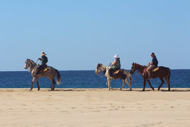 Los Cabos ATV and Pacific Horseback Riding Combo Tour - Horseback Riding Experience