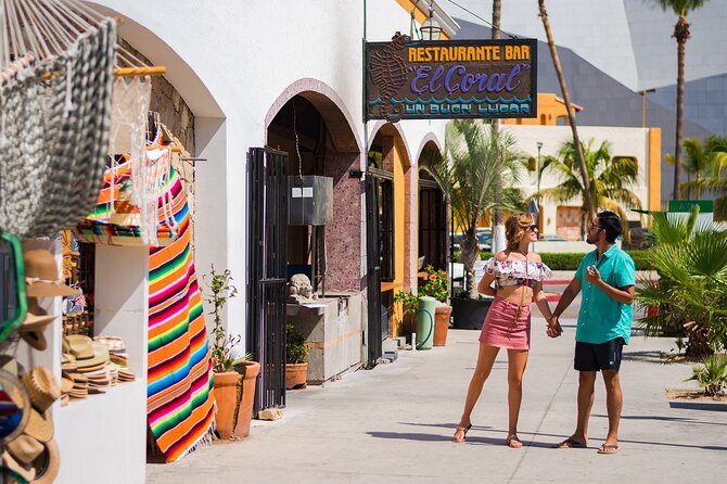 Los Cabos Guided City Tour With Visit to the Arch - Reviews