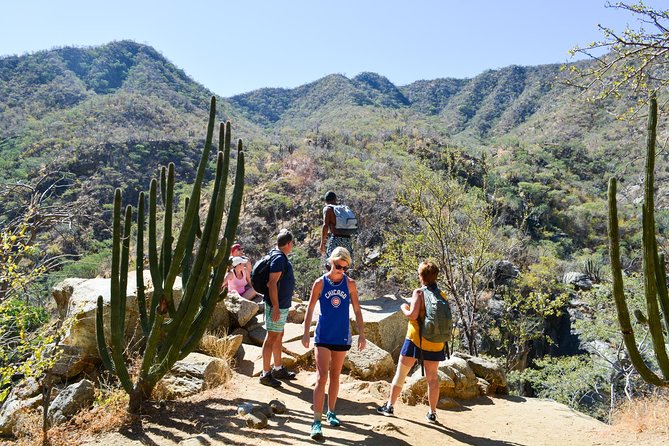 Los Cabos: Hiking at the Fox Canyon - Tour Guides and Service