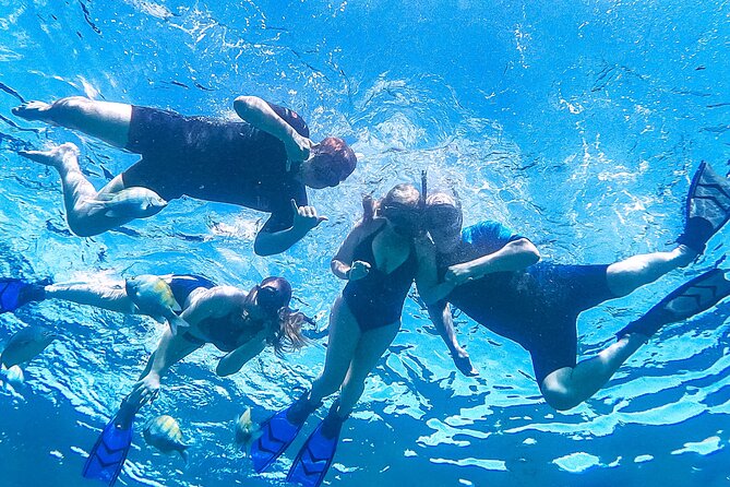 Los Cabos Snorkeling Tour by Speed Boat With Photos Included - Eco-Friendly Experience