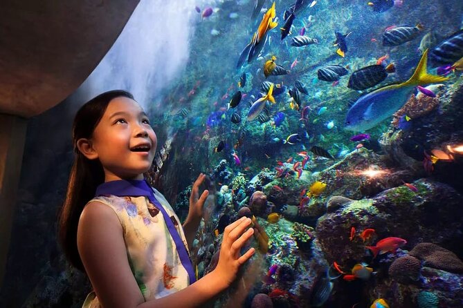 Lost Chamber Aquarium in Atlantis, Dubai - Meeting and Pickup Information