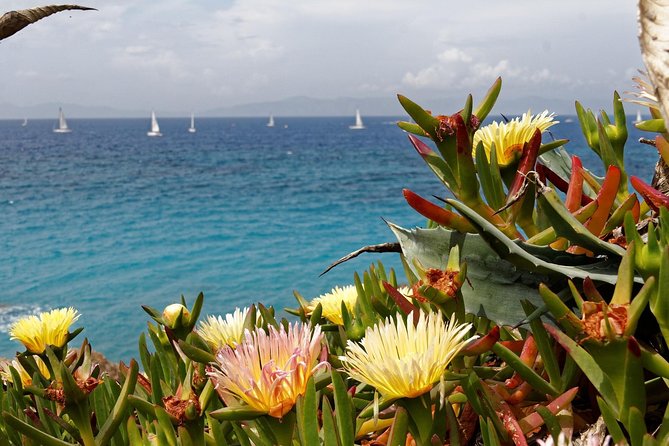 Lovely Nature and Inspiring Heritage - Rhodes Walking Tour for Families - Family-Friendly Activities in Rhodes