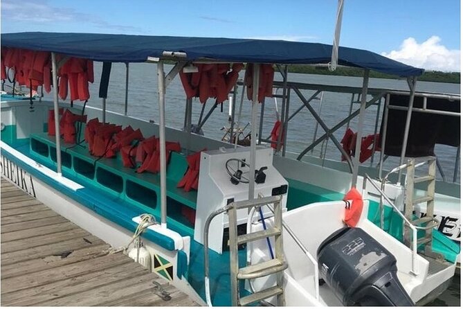 Luminous Lagoon Dark Night Tour From Ocho Rios and Runaway Bay Hotels - Common Questions