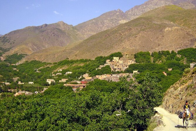 Luxury Day Trip: Three Valleys & Sunset Camel Ride in the Desert - The Sum Up