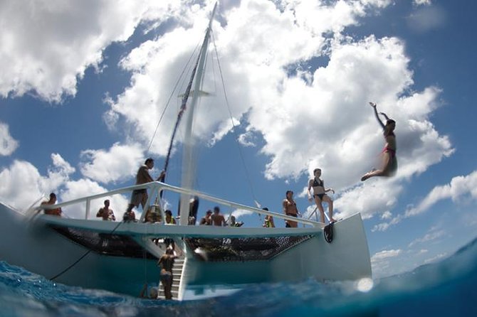 Luxury Hawaiian Sea Turtle, Dolphin Sail and Kona Snorkel - Traveler Photos and Reviews