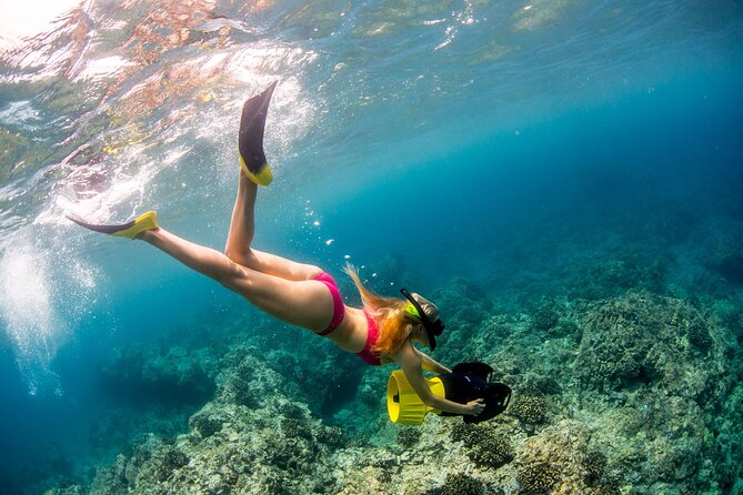 Luxury Kona Coast Snorkel Tour Including Lunch - Age Limit and Maximum Capacity