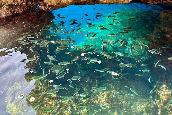 Luxury Private Corfu Sea Tour With Cocktails - Meeting and Pickup