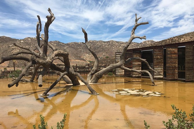 Luxury Private Wine Tasting Tour to Guadalupe Valley From San Diego - Meeting and Pickup Details