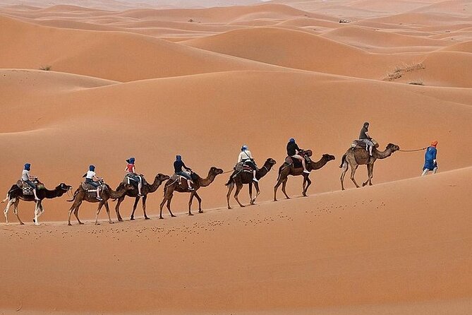Luxury Sahara Desert From Fez Back to Fez or Marrakech Overnight - Accommodation and Amenities Provided During the Tour