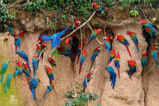 Macaw Collpa & Sandoval Lake 4 Days / 3 Nights - Pickup and Start Details