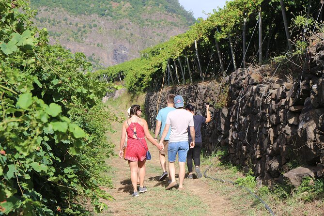 Madeira Island Private Wine Full-Day Tour in All Terrain Vehicle - Traveler Photos