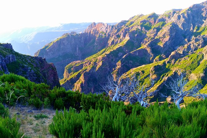 Madeira: Pico Ruivo Small-Group Sunrise Hike  - Funchal - Immersion in Nature - an Opportunity to Connect With the Outdoors