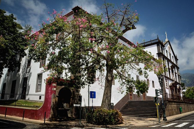 Madeira Private Tuk-Tuk Sightseeing Tour  - Funchal - The Sum Up