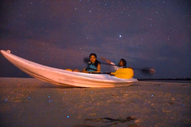 Magic Night of Stargazing and Bioluminescence - Minimum Number of Travelers Required