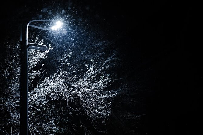 Magical Christmas Tour in Beautiful Reykjavik - Joyful Caroling and Musical Performances