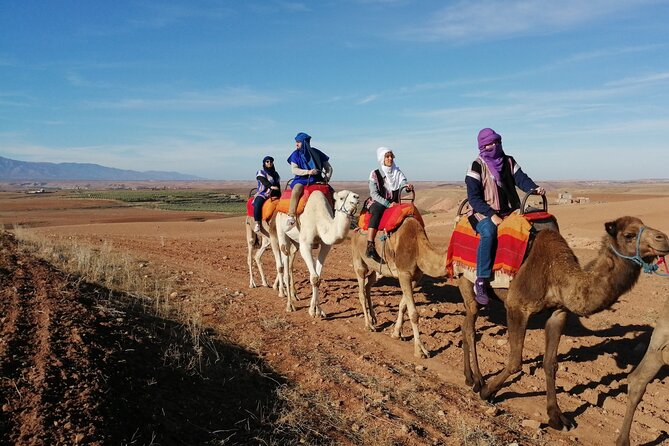 Magical Dinner Show and Camel Ride With Sunset in Agafay Desert - Enjoying a 3-Course Dinner Under the Stars